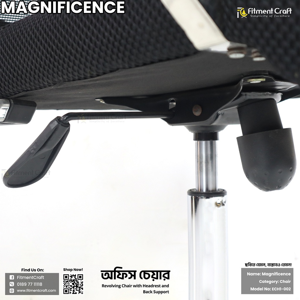 Magnificence Chair | ECH1-002