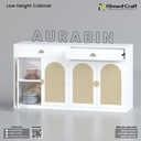 Aurabin-Low Height Cabinet । LHC1-001
