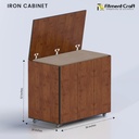Saffron - Iron Cabinet । ICF1-001