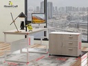 Modern FC Executive Desk | TV15-001