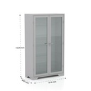 Medivault - Medicine Cupboard । HMCMS-001