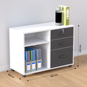 Citadel - File Cabinet | CV2-001