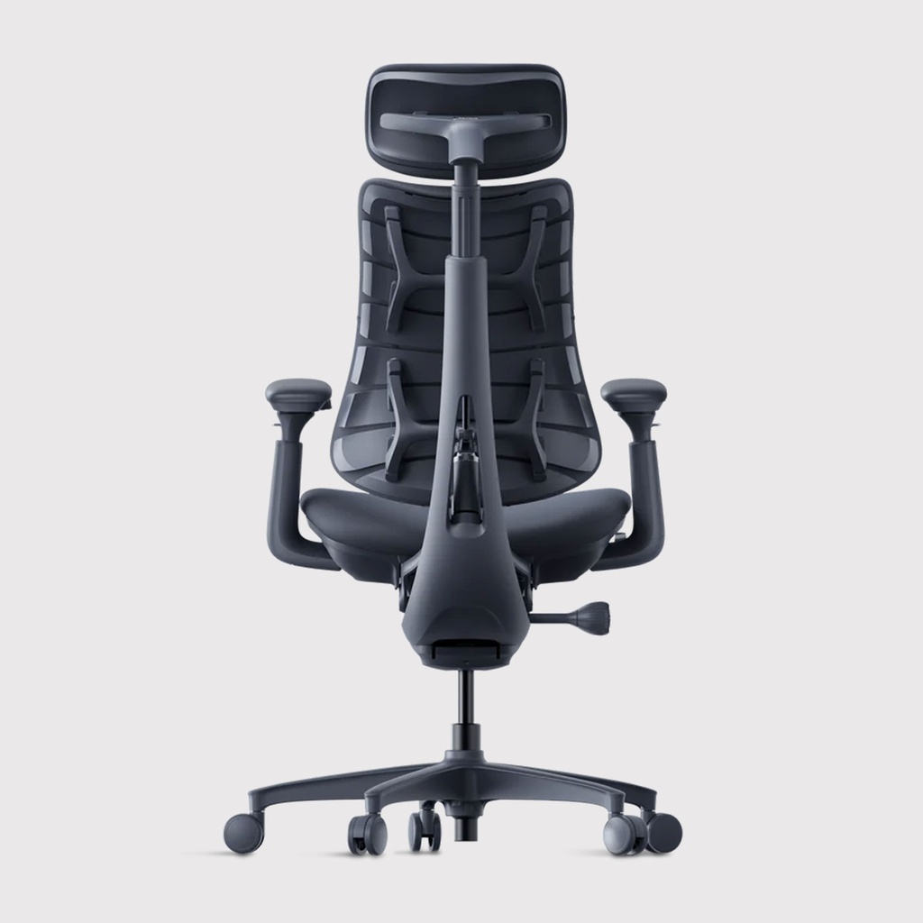 LiberNovo Ergonomic Chair 