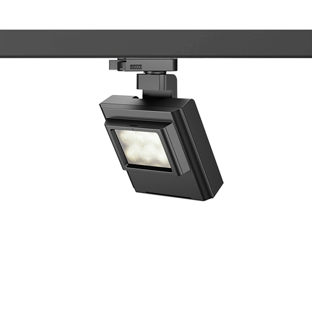 Fenley LED Track Light