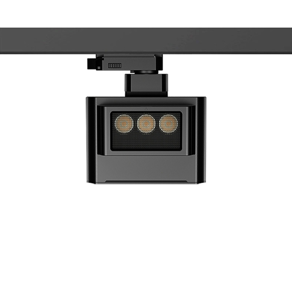 Fenley LED Track Light