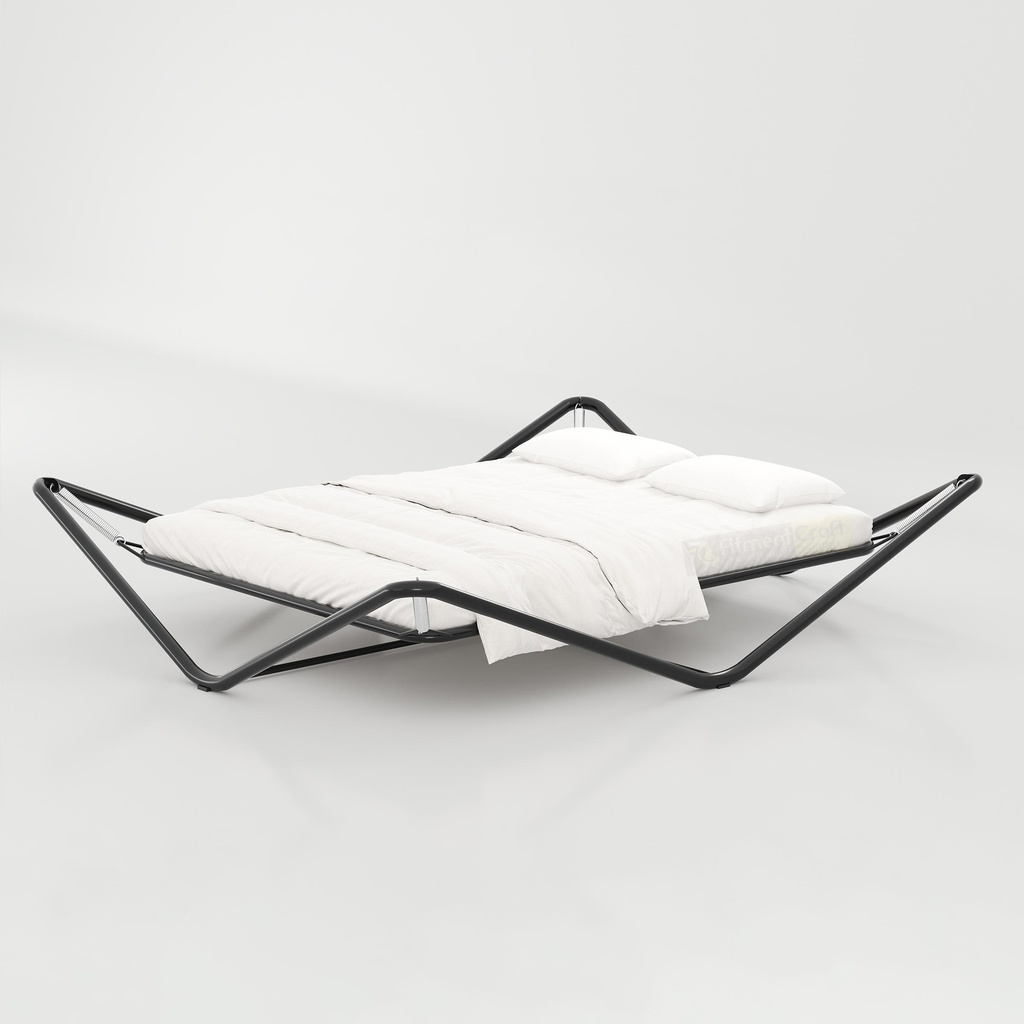 Daxon Standard Queen Size Bed 