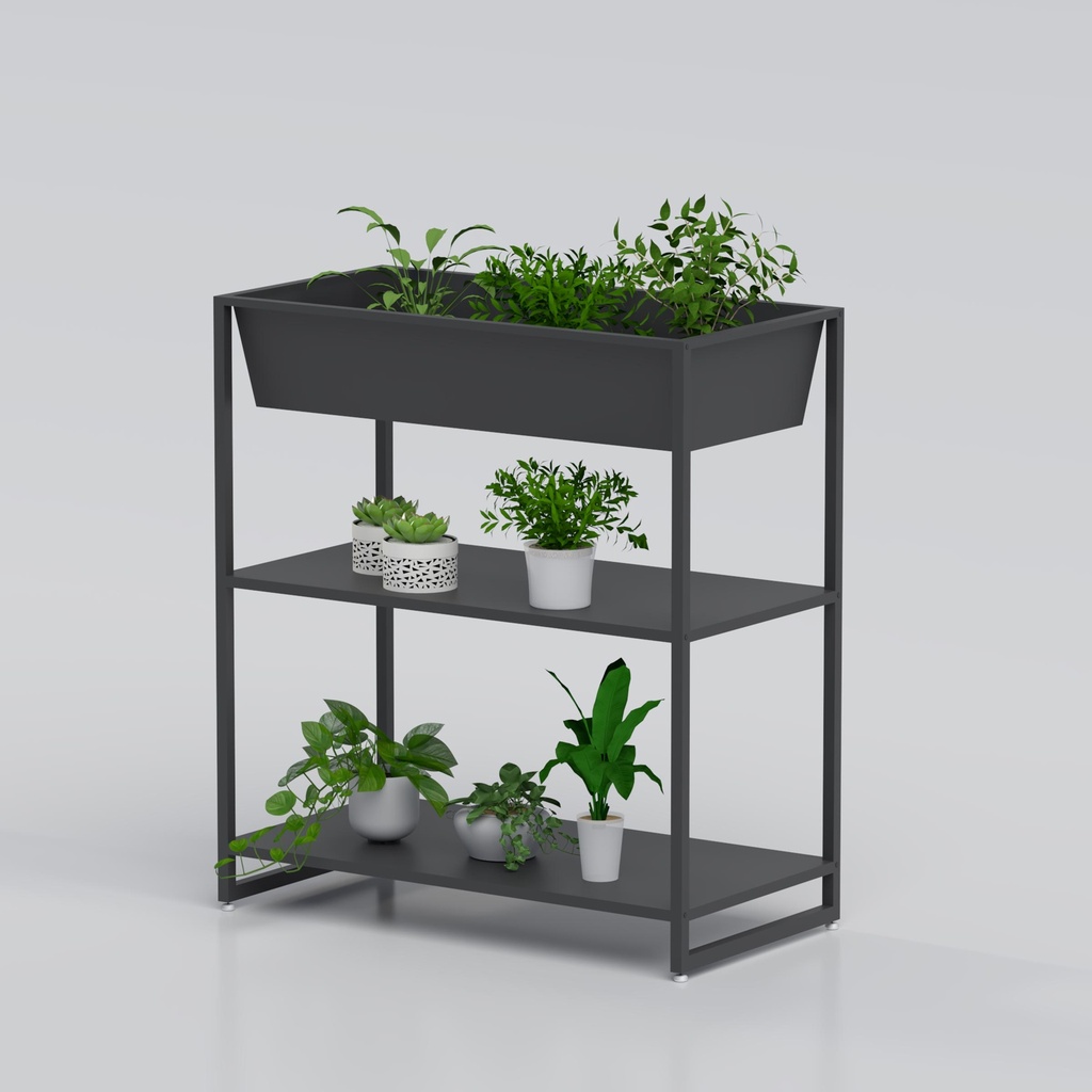 marigold plant stand 