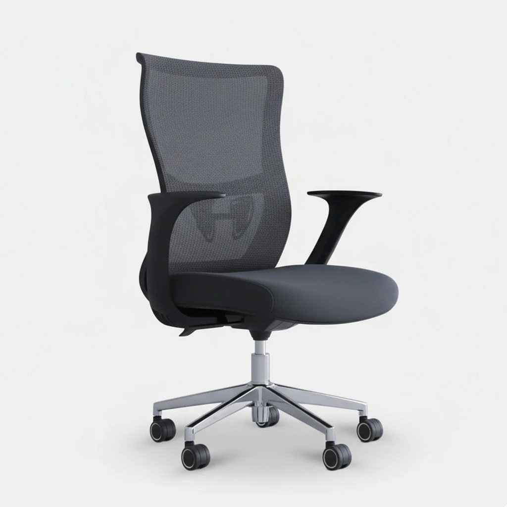 Lacoo - Chair । ECH1 - 012