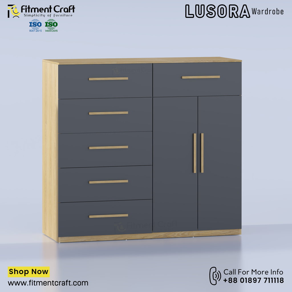 Lusora-Wardrobe । WDV1-014