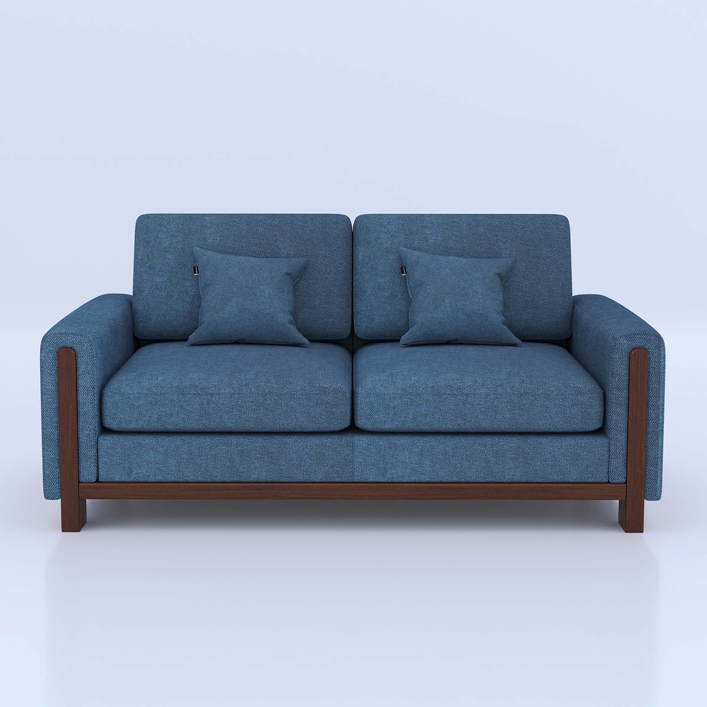 Mishu 2 Seater Sofa | HSV2-057