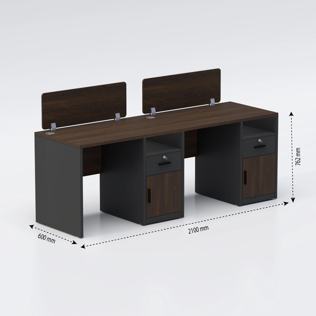 TaskFlow Side by side two seater Workstation 