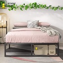 Simple - Metal Bed (Double Seater) | MBV1-004