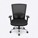 Yaxon Executive Chair 