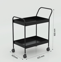 Ervan Medicine Trolley MS